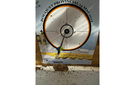 Rendu du Bouquet Provincial à Méry sur Oise